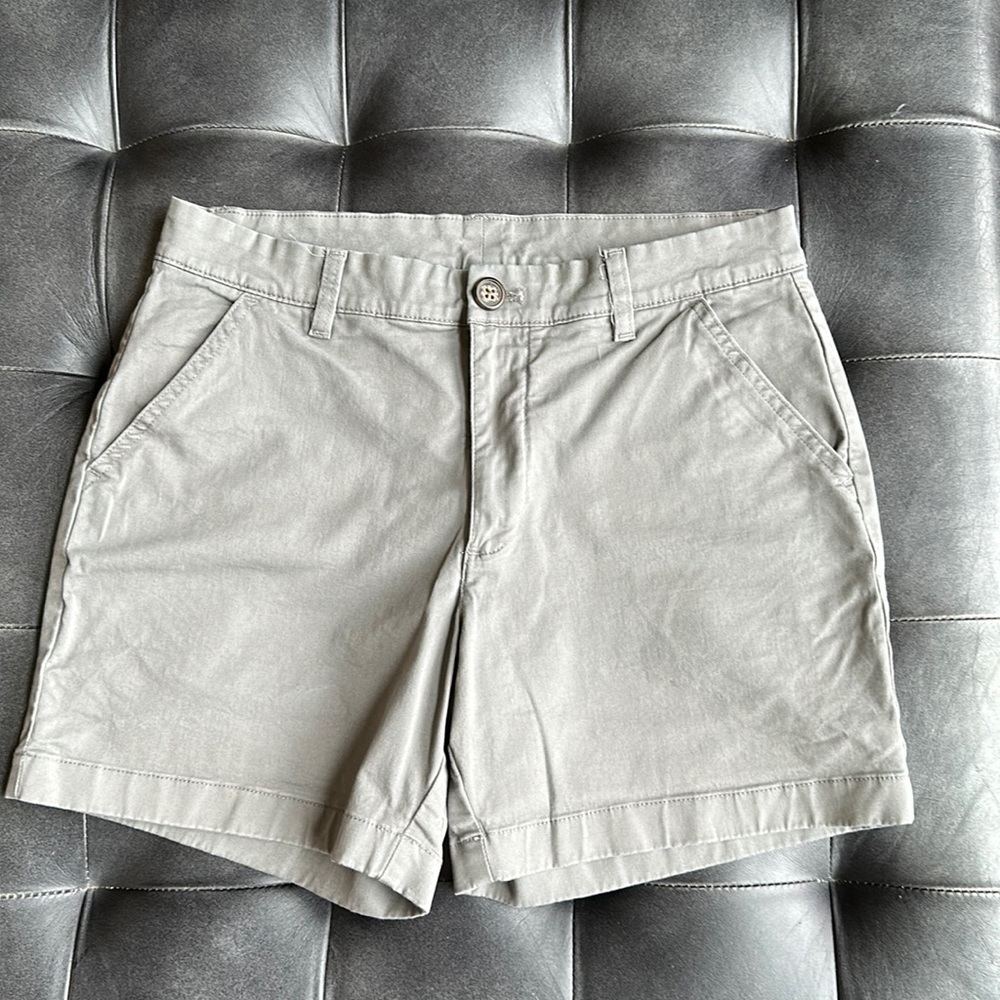 Chubbies Shorts Men’s 30”
